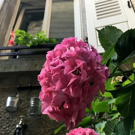 Appartement Schloss Apartment, Zentrum Baden-Baden