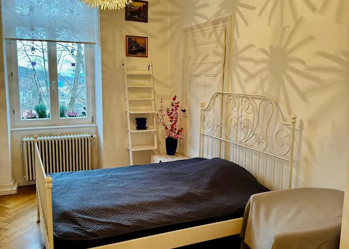 Apartment Schloss Apartment, Zentrum *