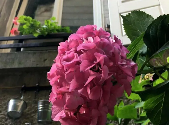 Apartment Schloss Apartment, Zentrum Baden-Baden